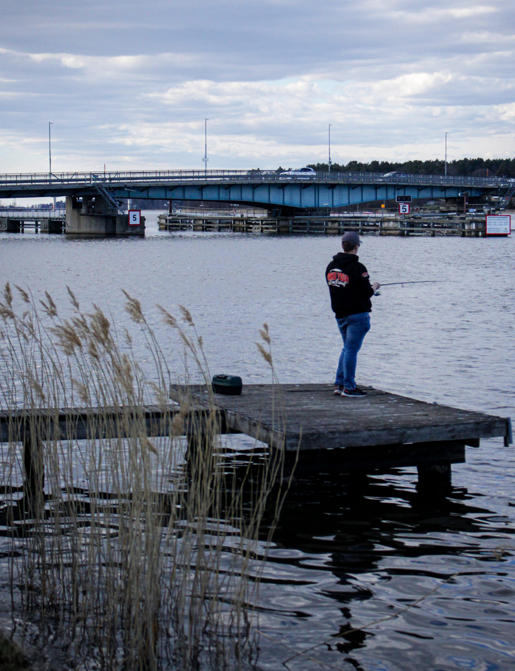 I förgrunden vass, i mellangrunden en ensam fiskare som står på en liten brygga mot vattnet i centrala Strängnäs
